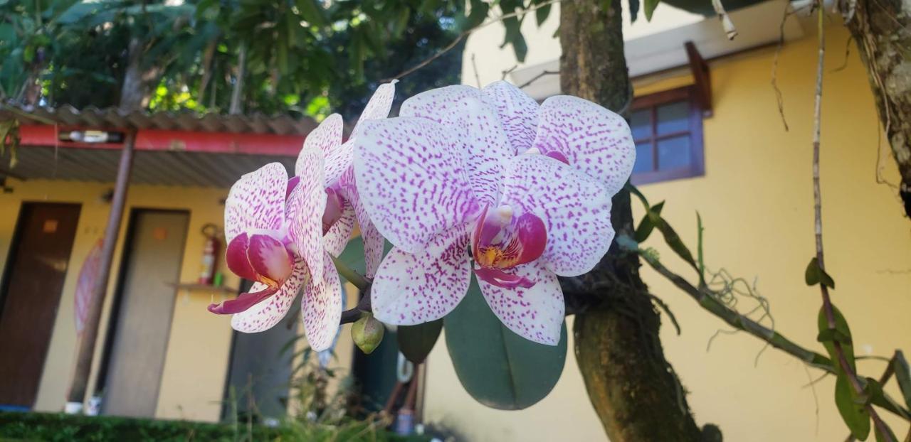 Pousada Mixirica トリンダーデ エクステリア 写真